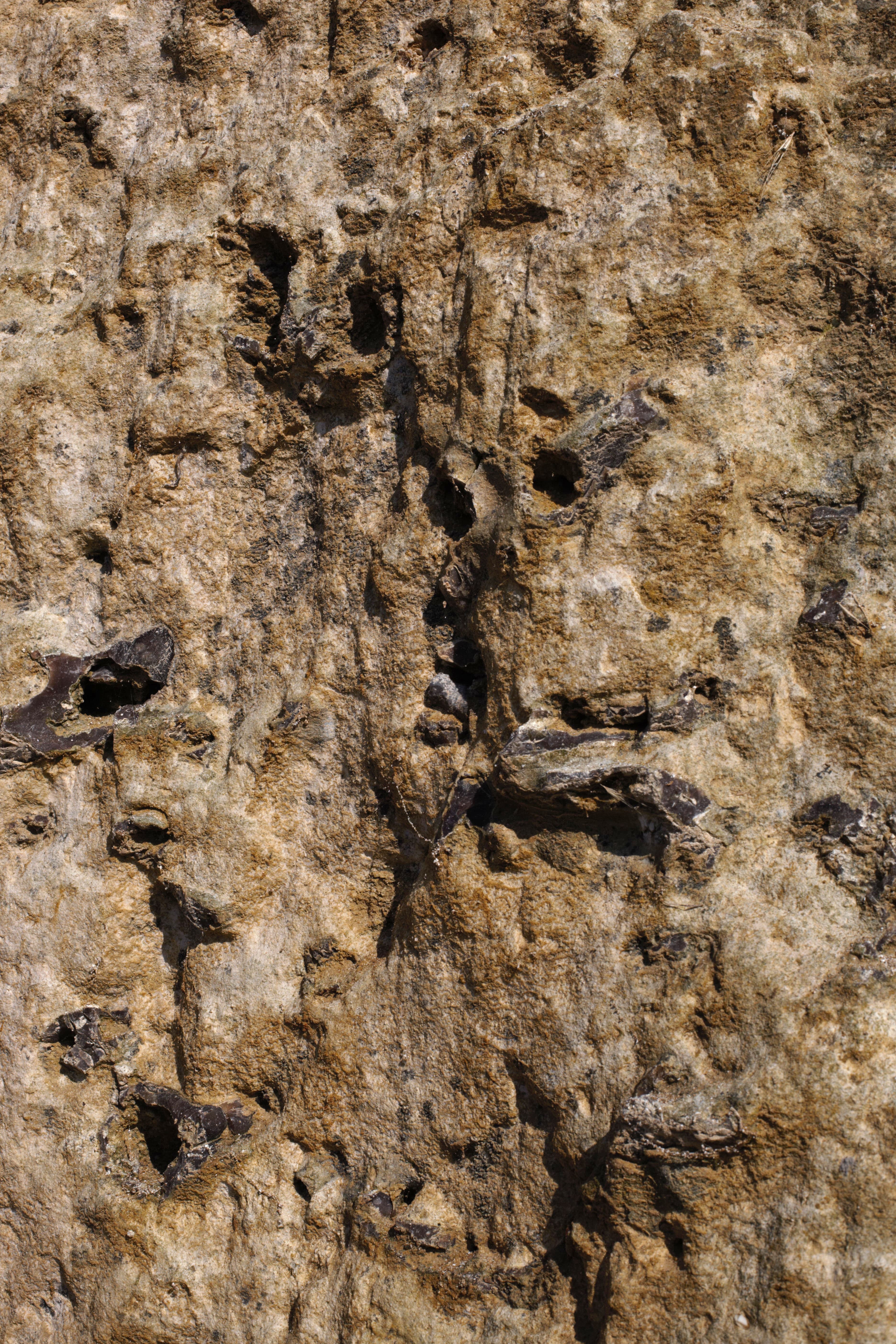 La Haie d'Etigues (Eboulis)