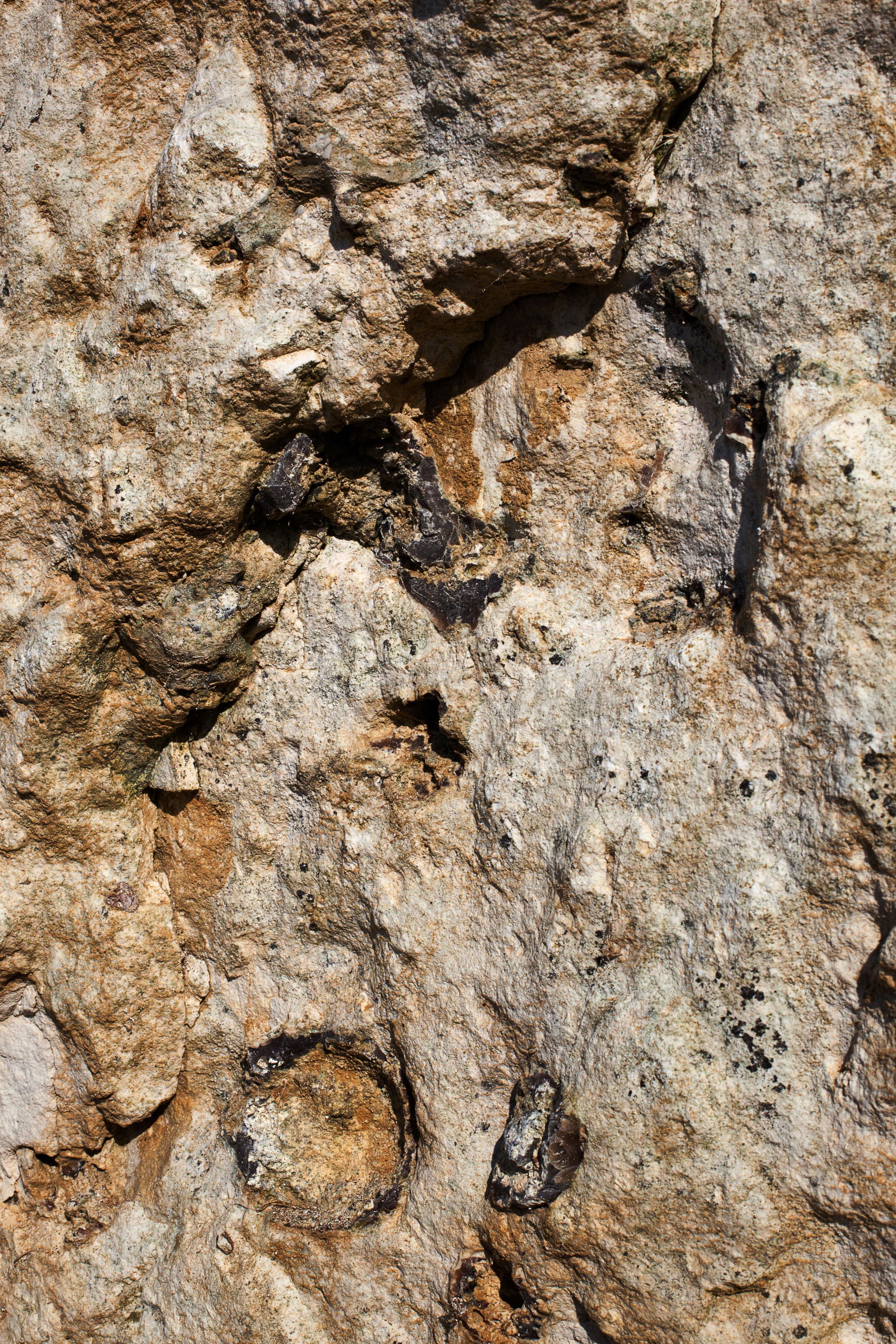 La Haie d'Etigues (Eboulis)