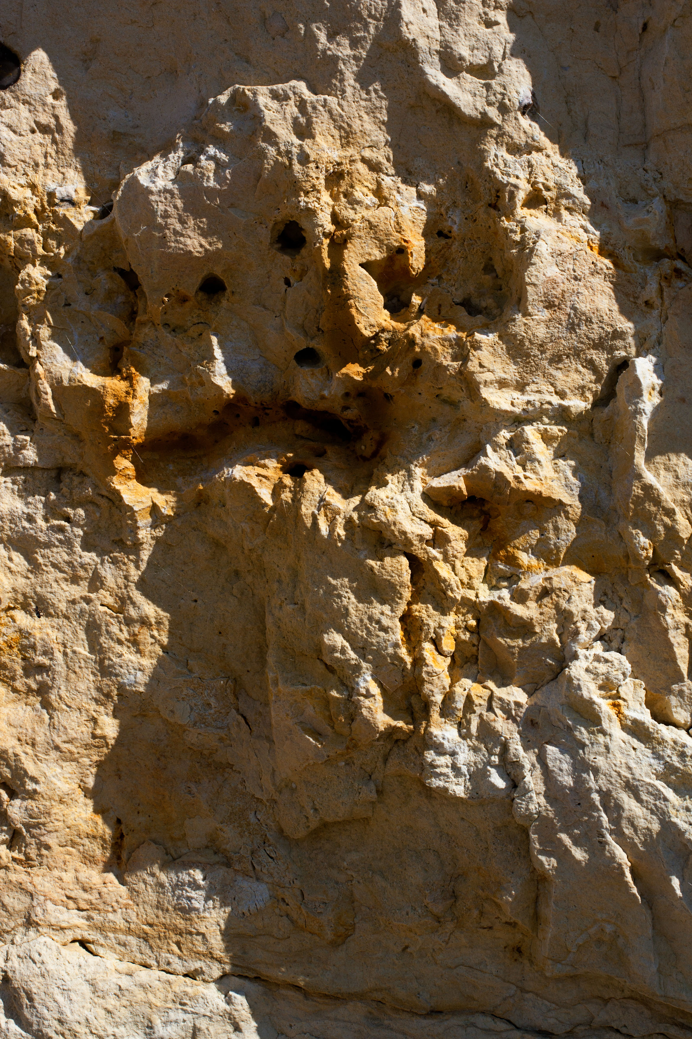 La Haie d'Etigues (Eboulis)