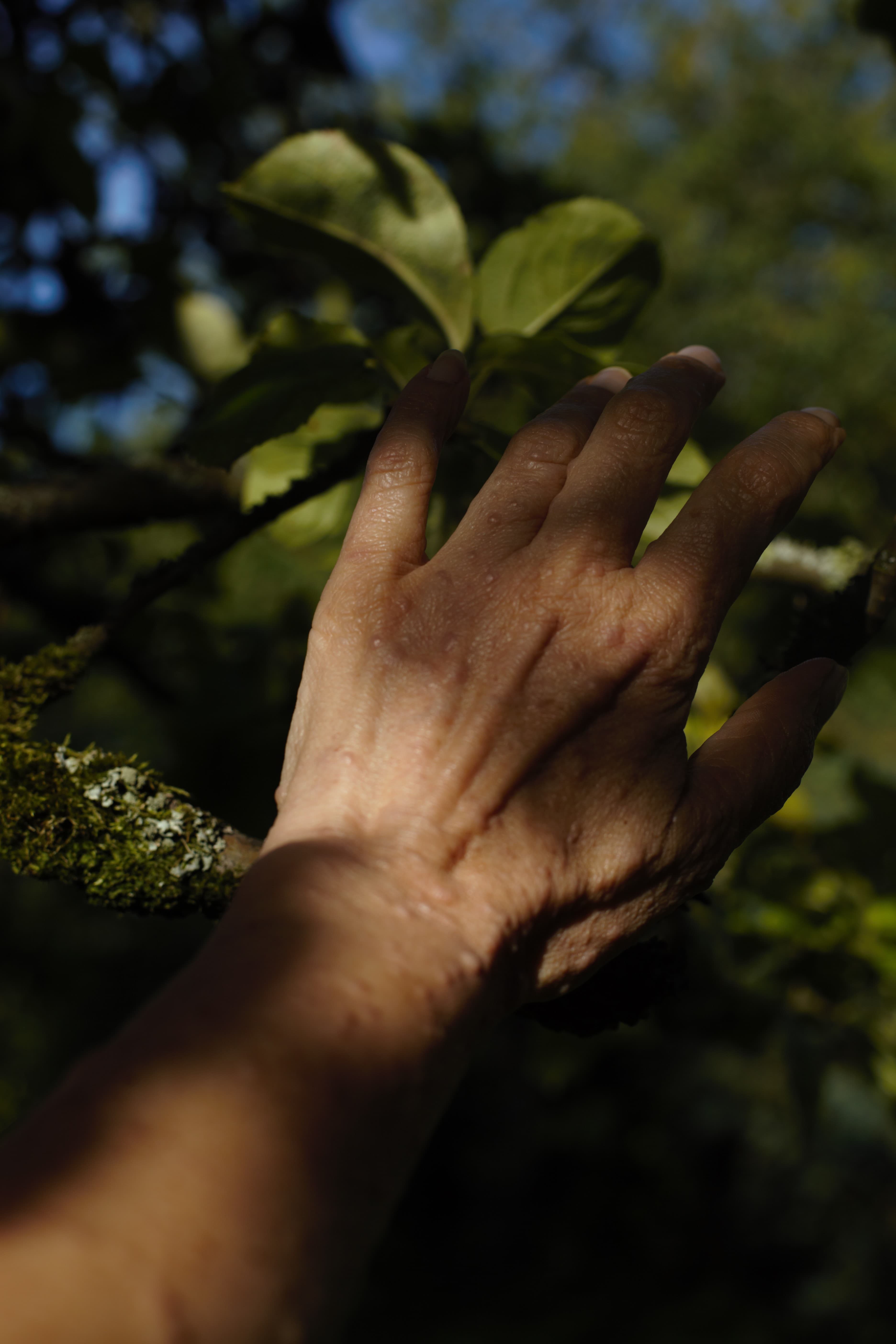 Présence invisible (2026)