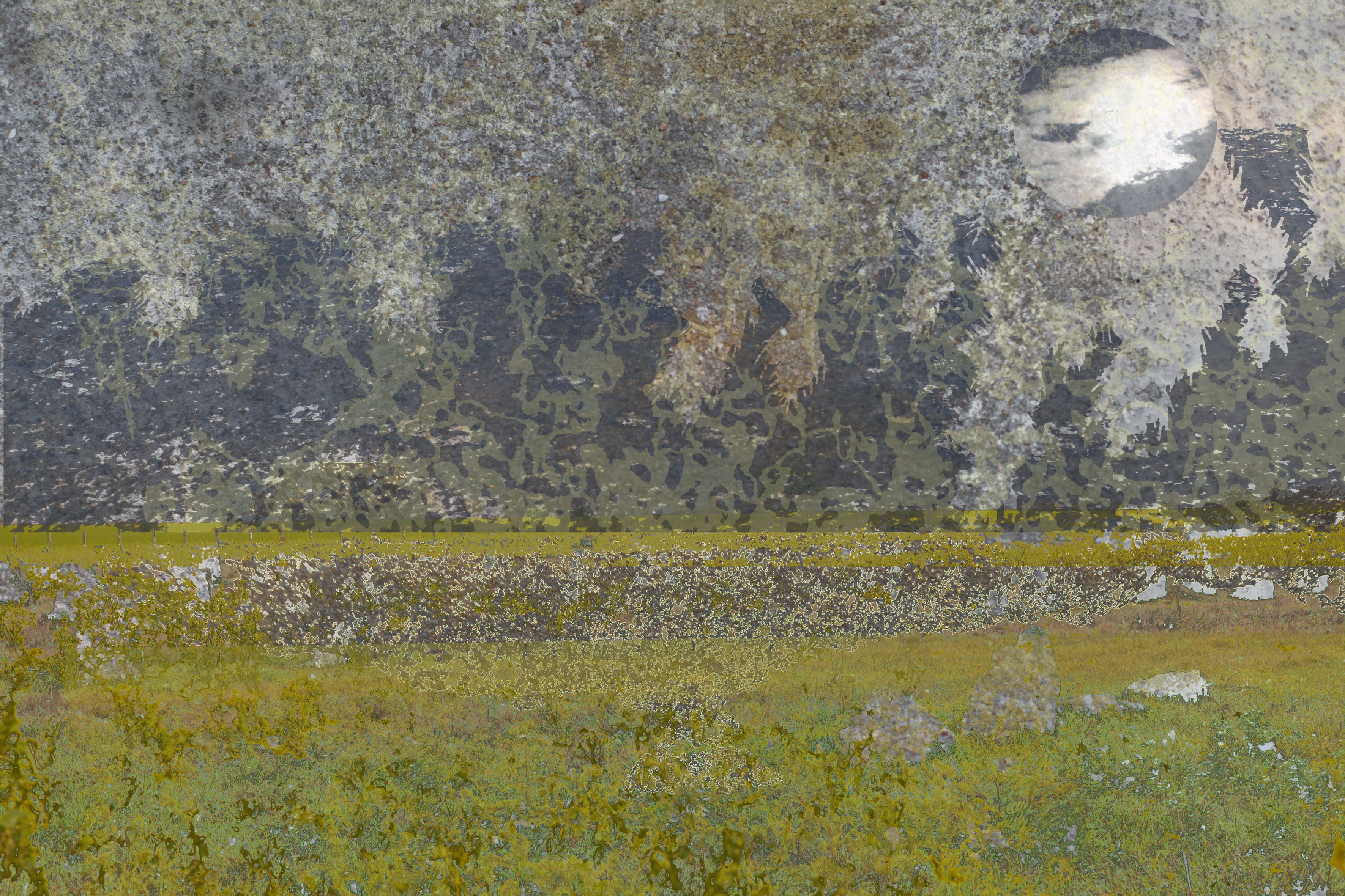 Paysages Recomposés