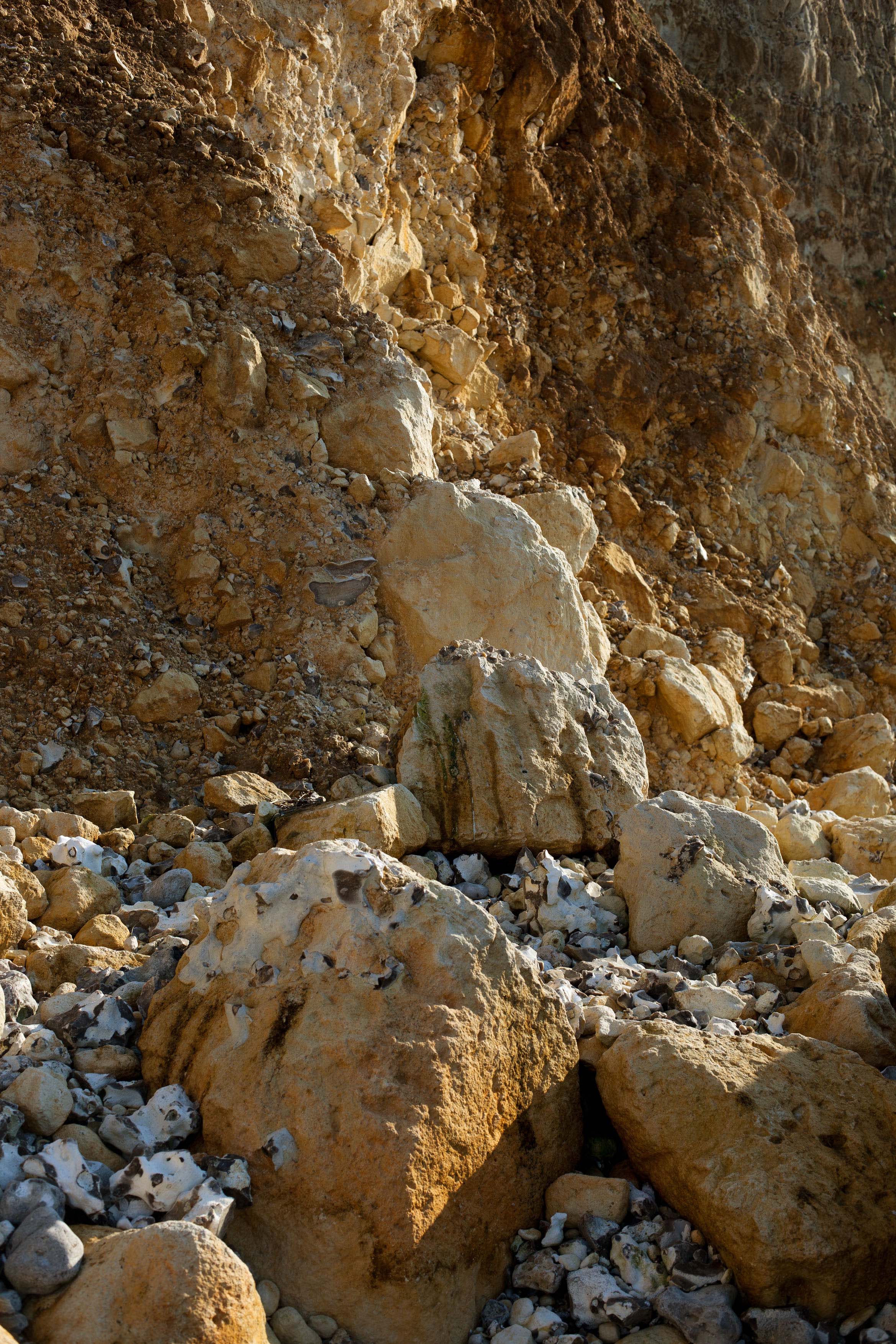 La Haie d'Etigues (Eboulis)