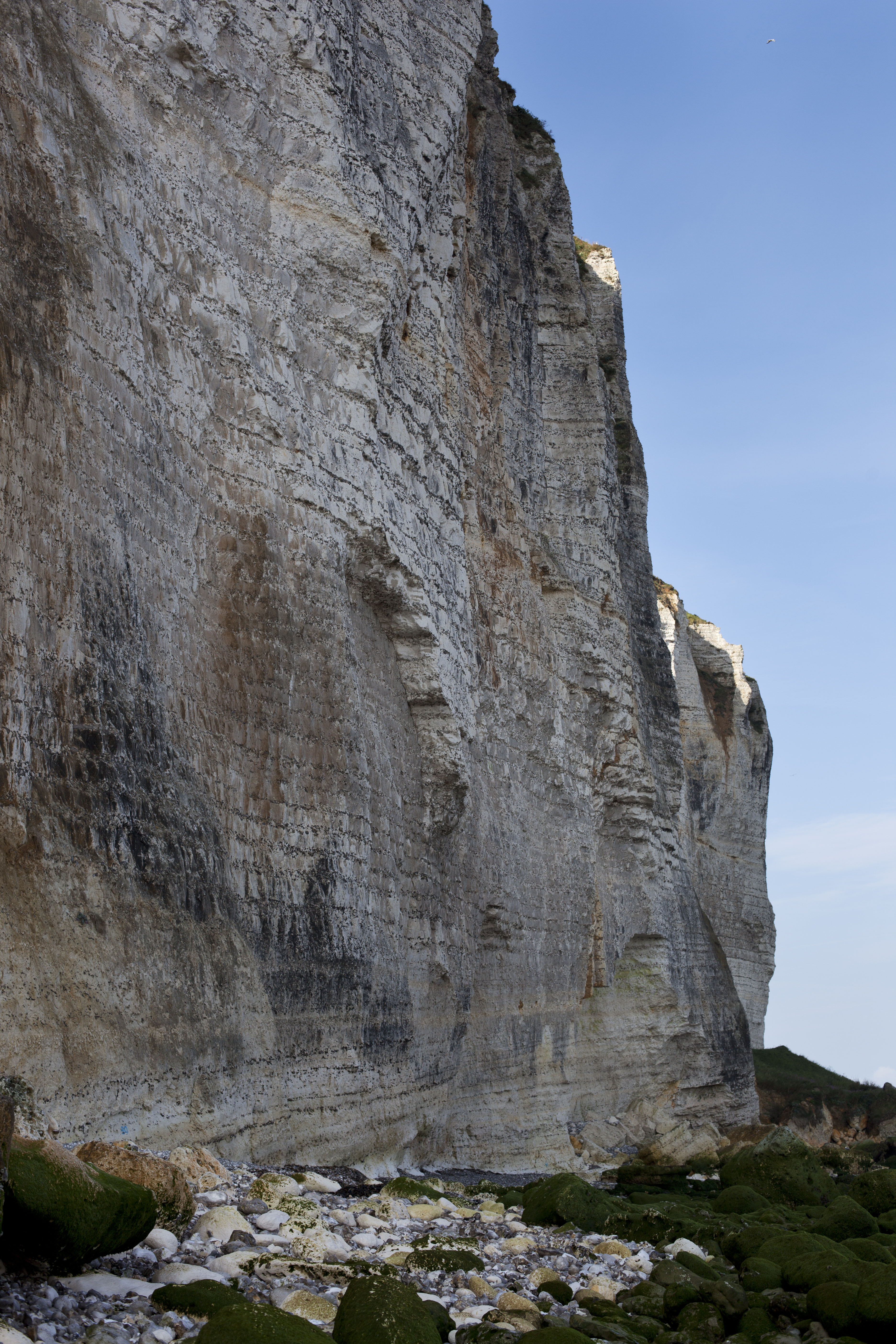 La Haie d'Etigues (Eboulis)