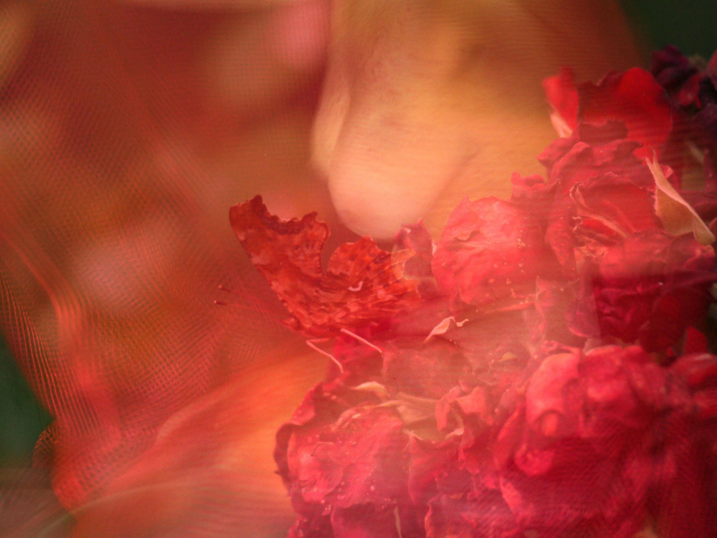 Hauts en couleurs