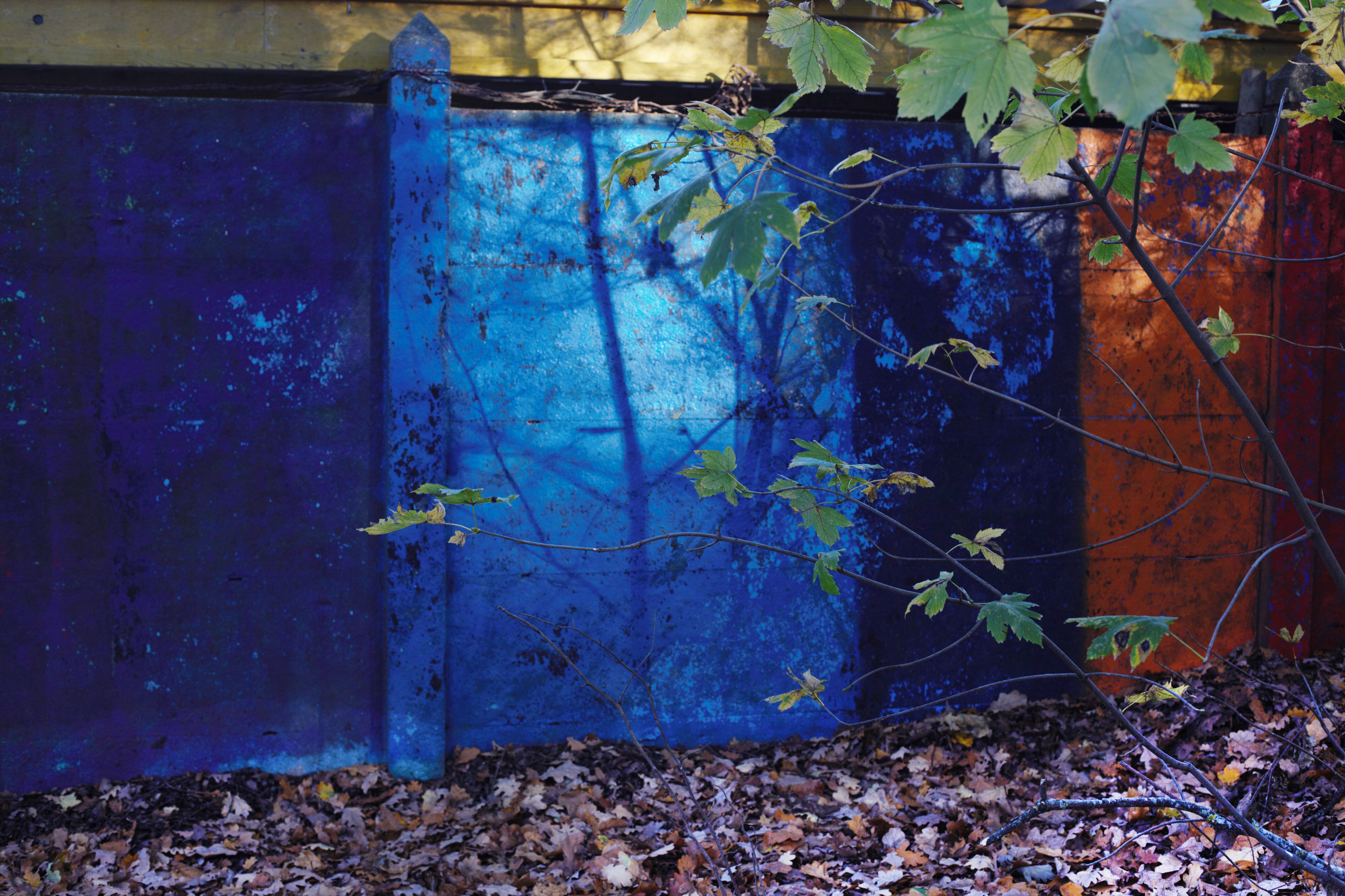 Hauts en couleurs