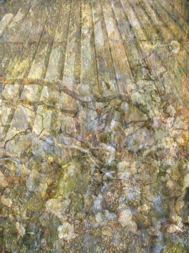 Nature Secrète