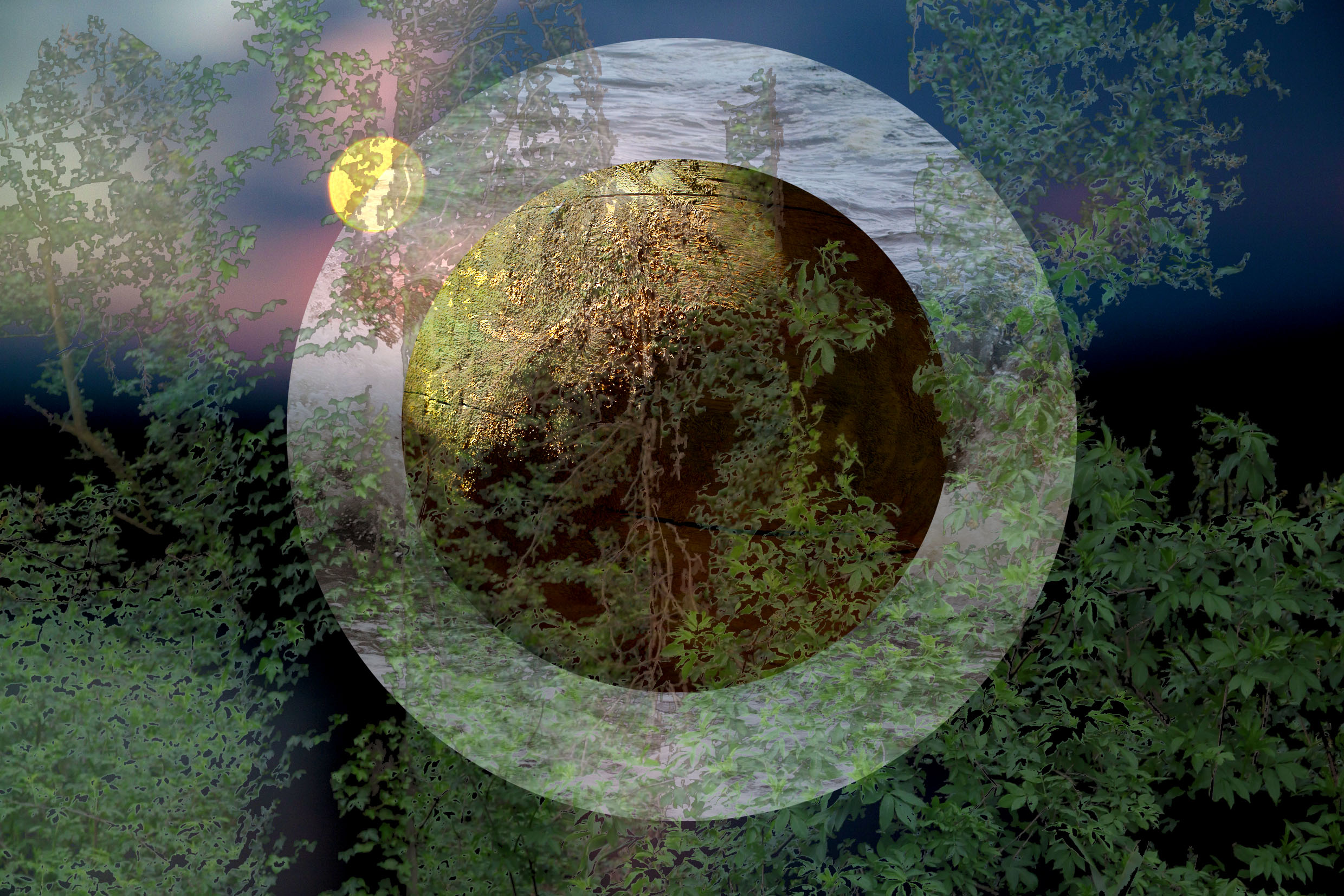 Nature Secrète